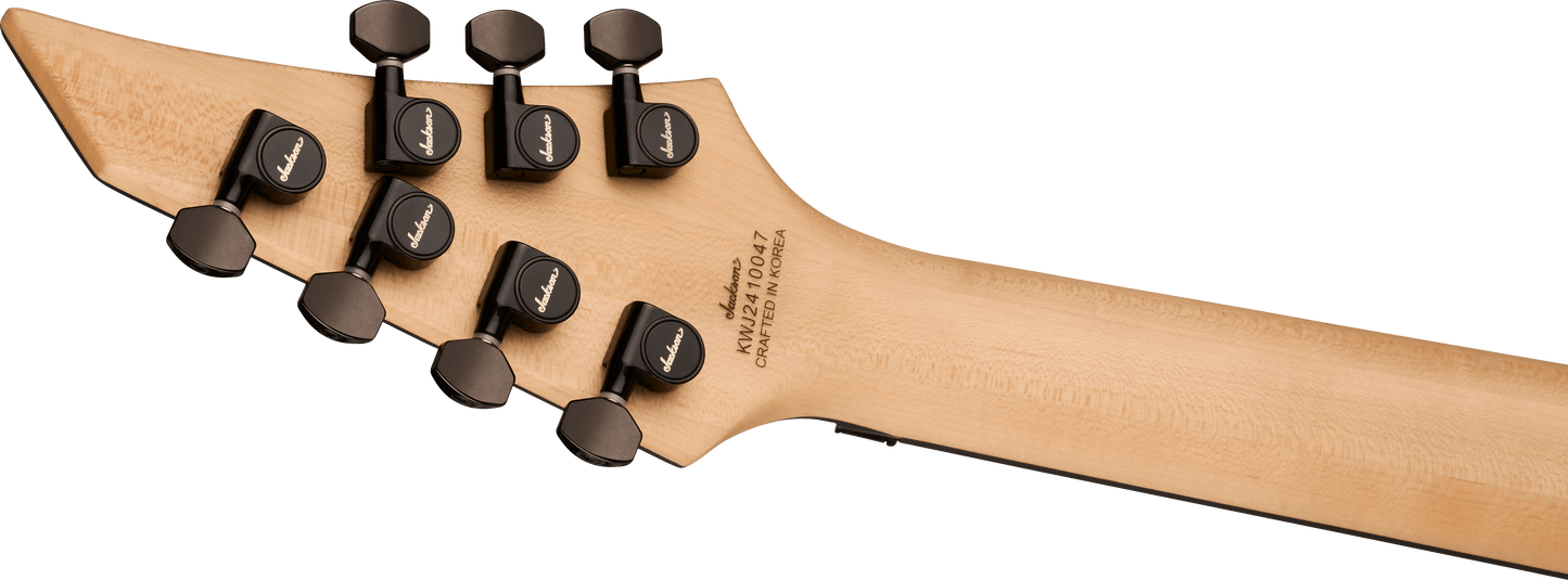 Pro Plus Series Signature Chris Broderick Soloist™ 7